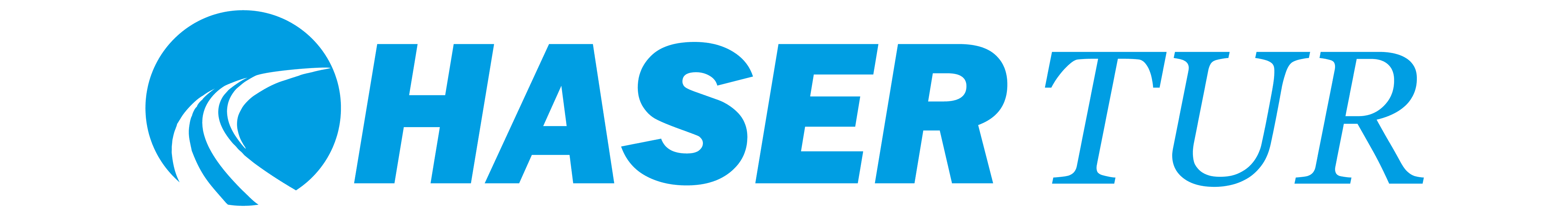 Pro XRM Logo